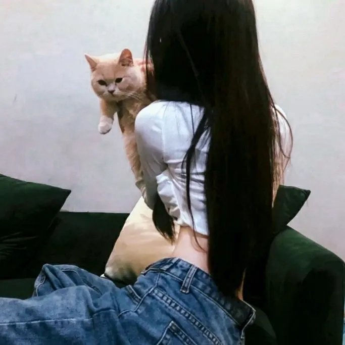三看御妹刘金定