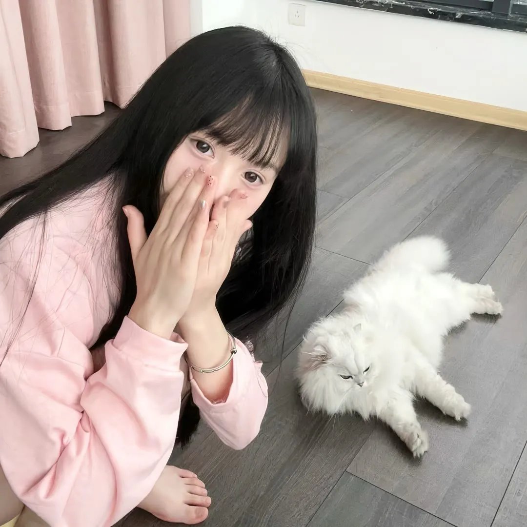 吹梦无踪